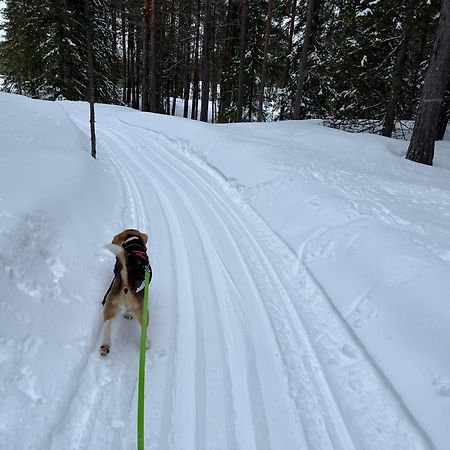 Knappgarden Särna Exteriér fotografie