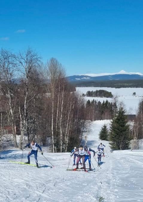 Knappgarden Särna Exteriér fotografie