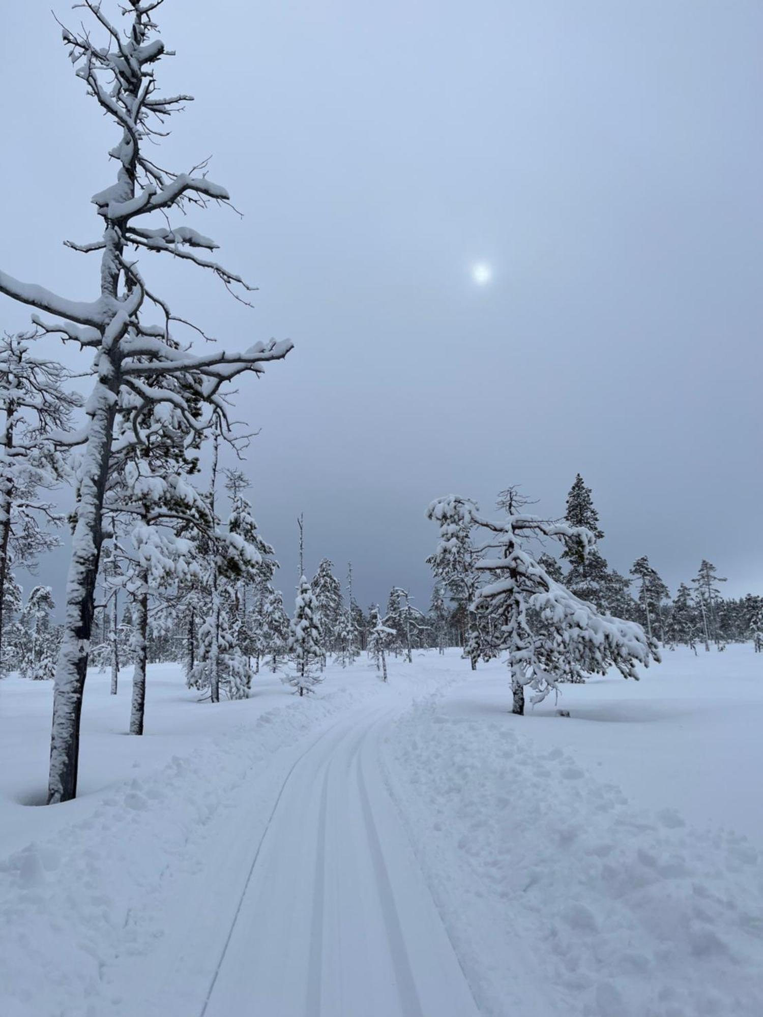 Knappgarden Särna Exteriér fotografie