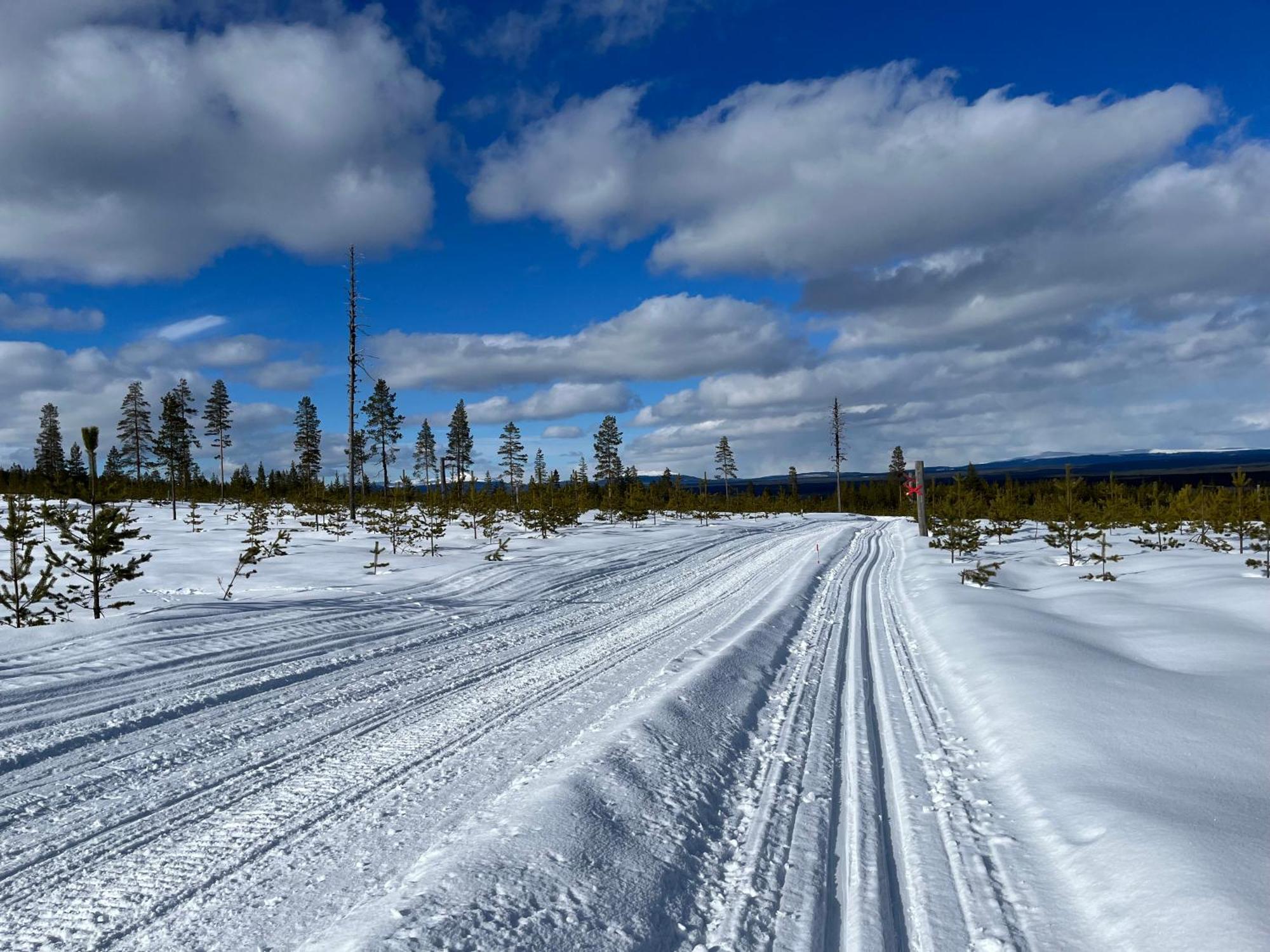 Knappgarden Särna Exteriér fotografie