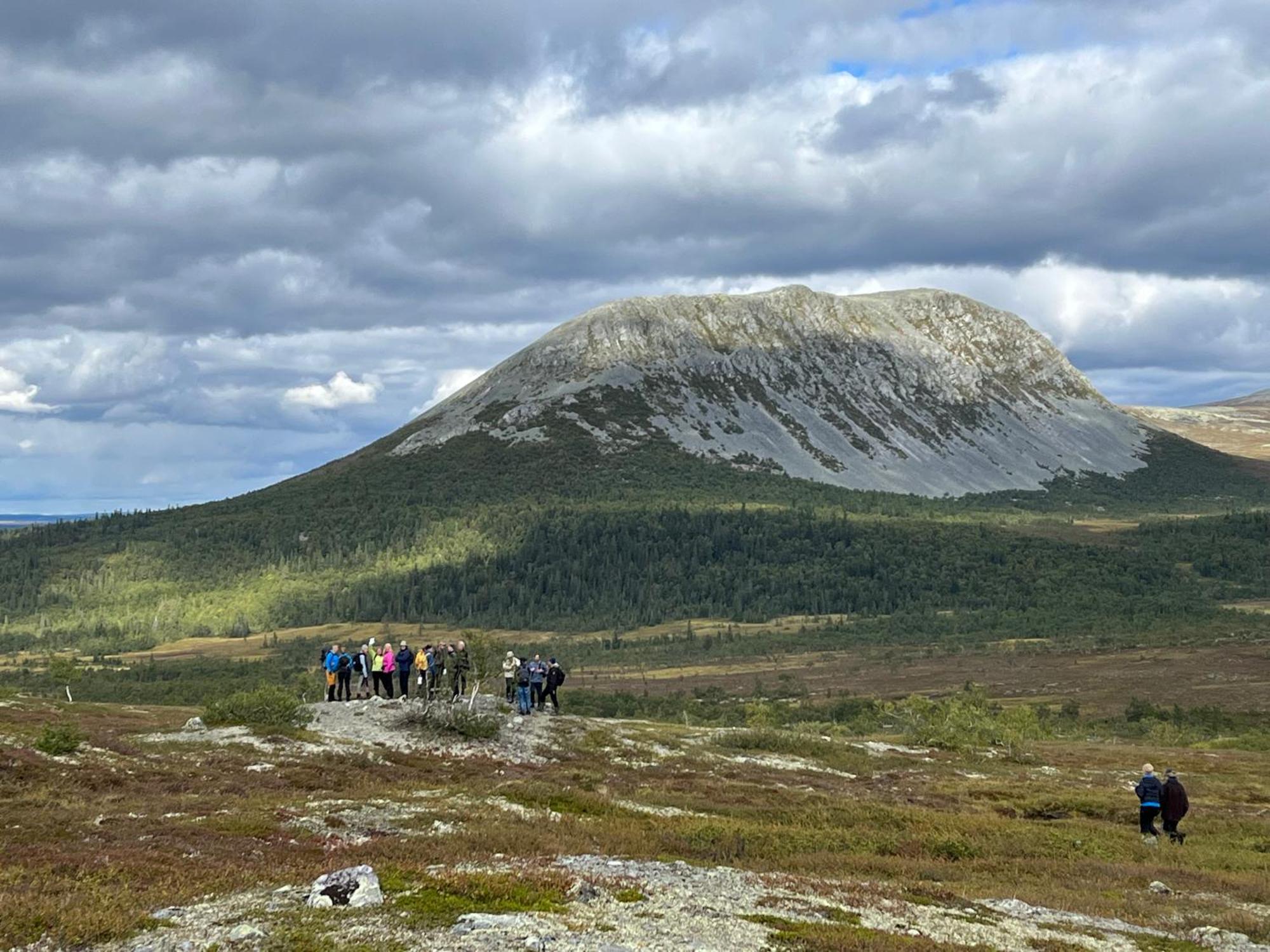 Knappgarden Särna Exteriér fotografie