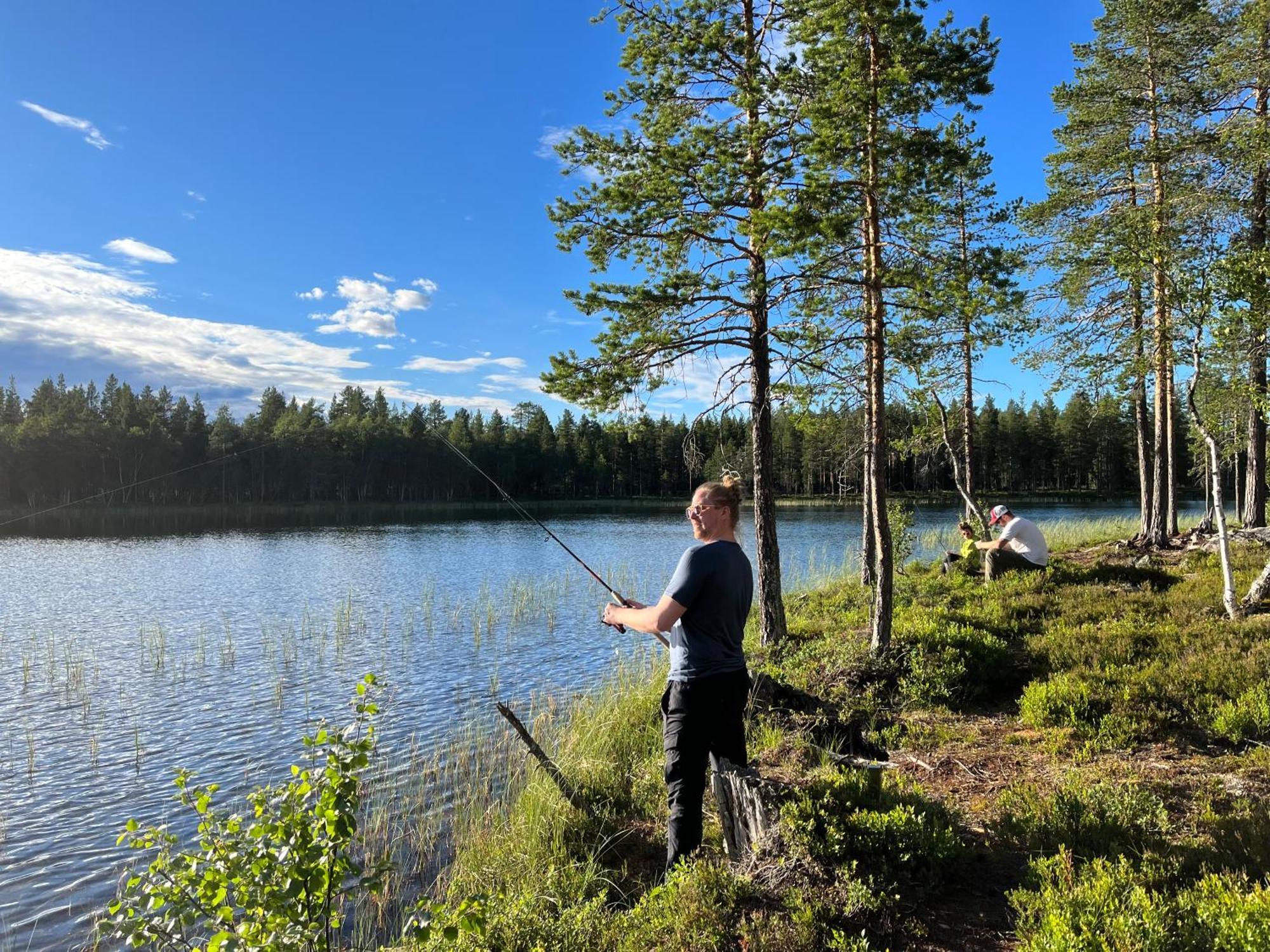 Knappgarden Särna Exteriér fotografie