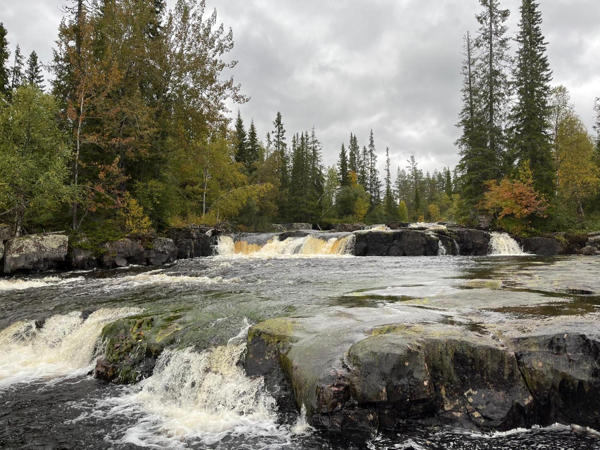 Knappgarden Särna Exteriér fotografie