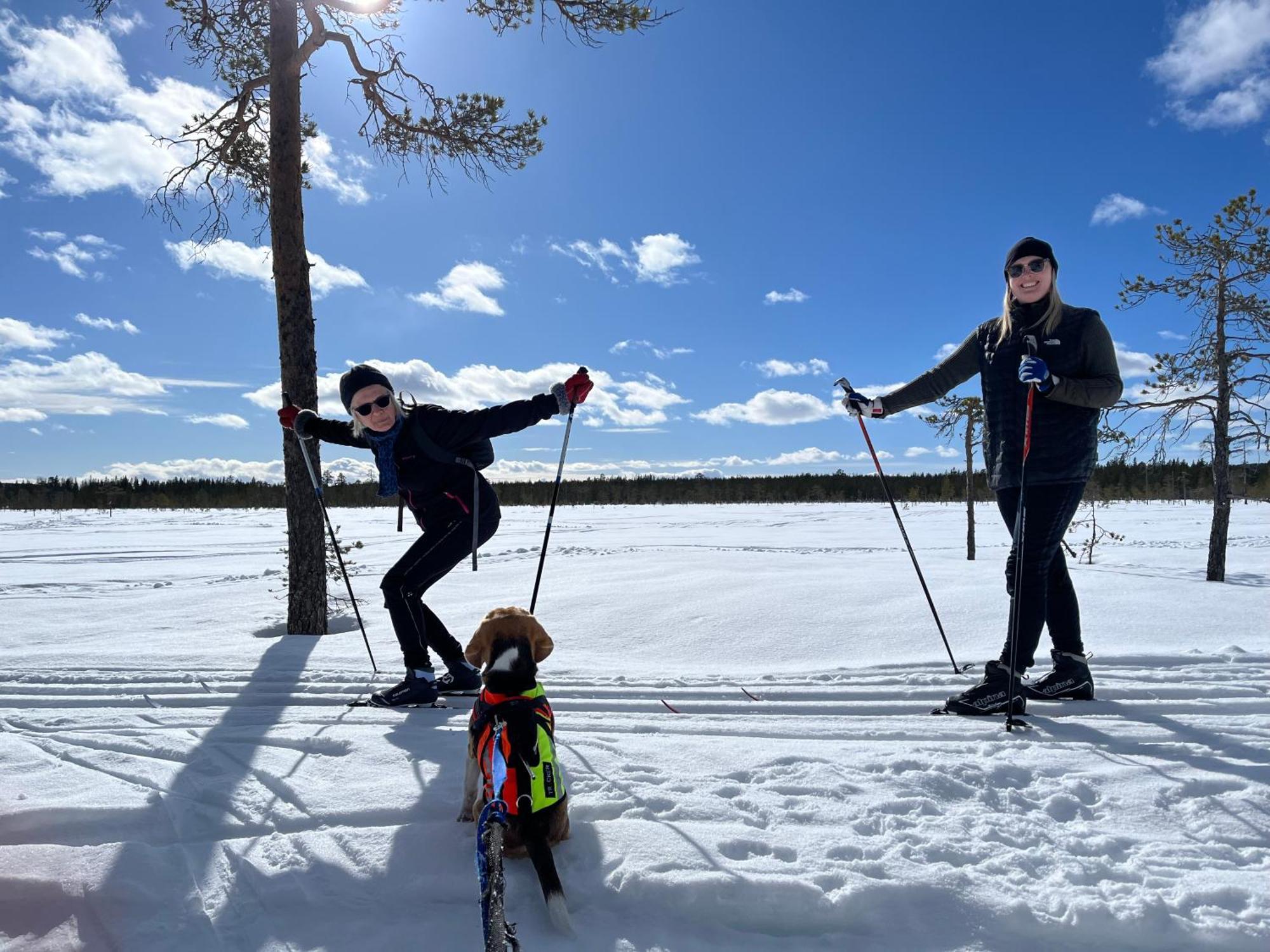 Knappgarden Särna Exteriér fotografie