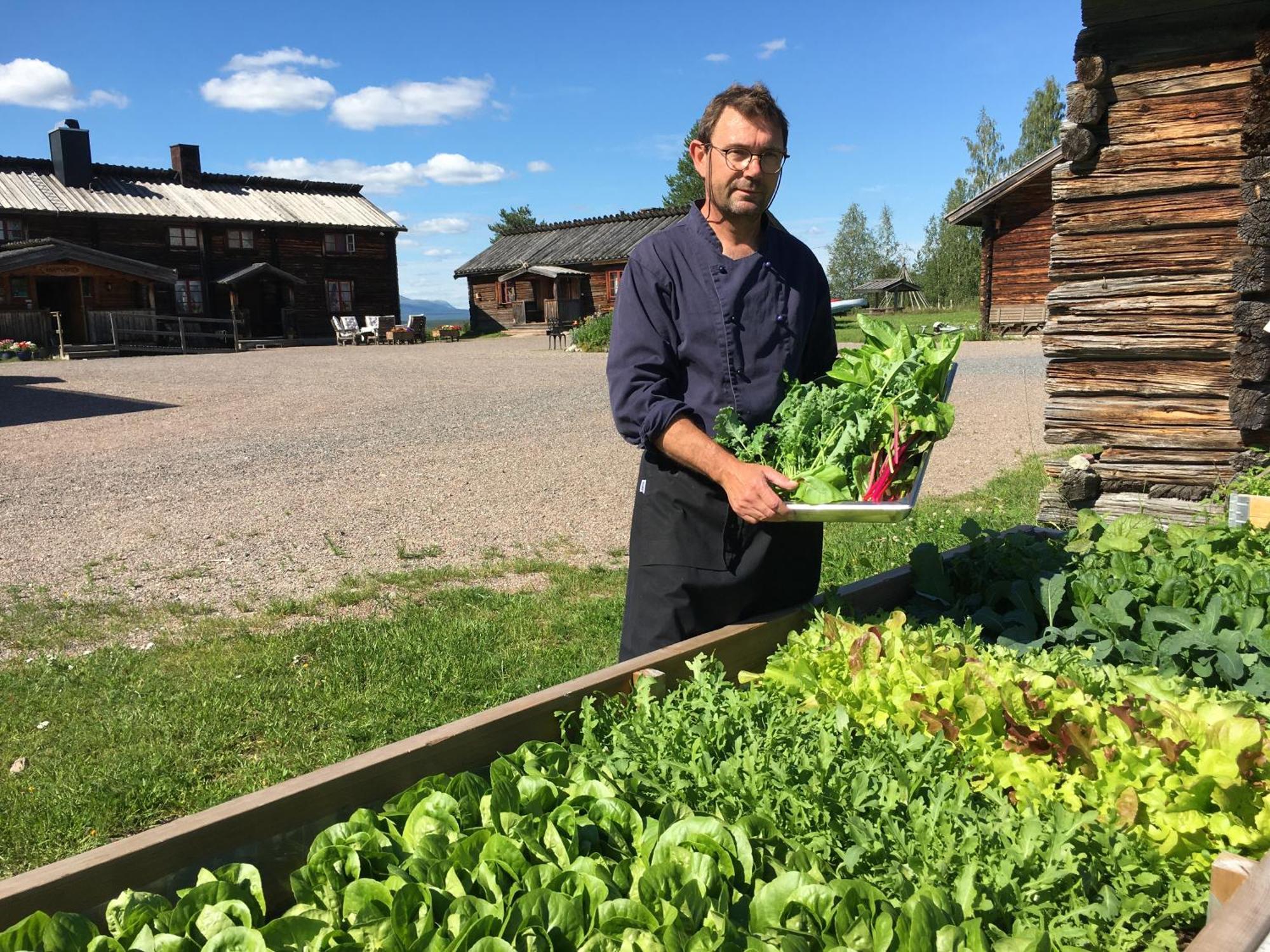 Knappgarden Särna Exteriér fotografie