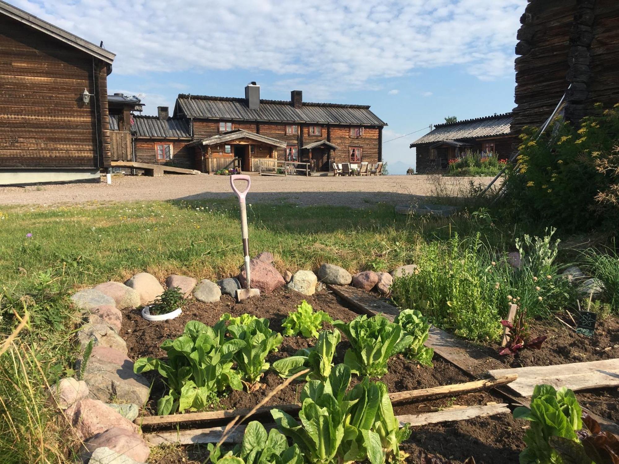 Knappgarden Särna Exteriér fotografie
