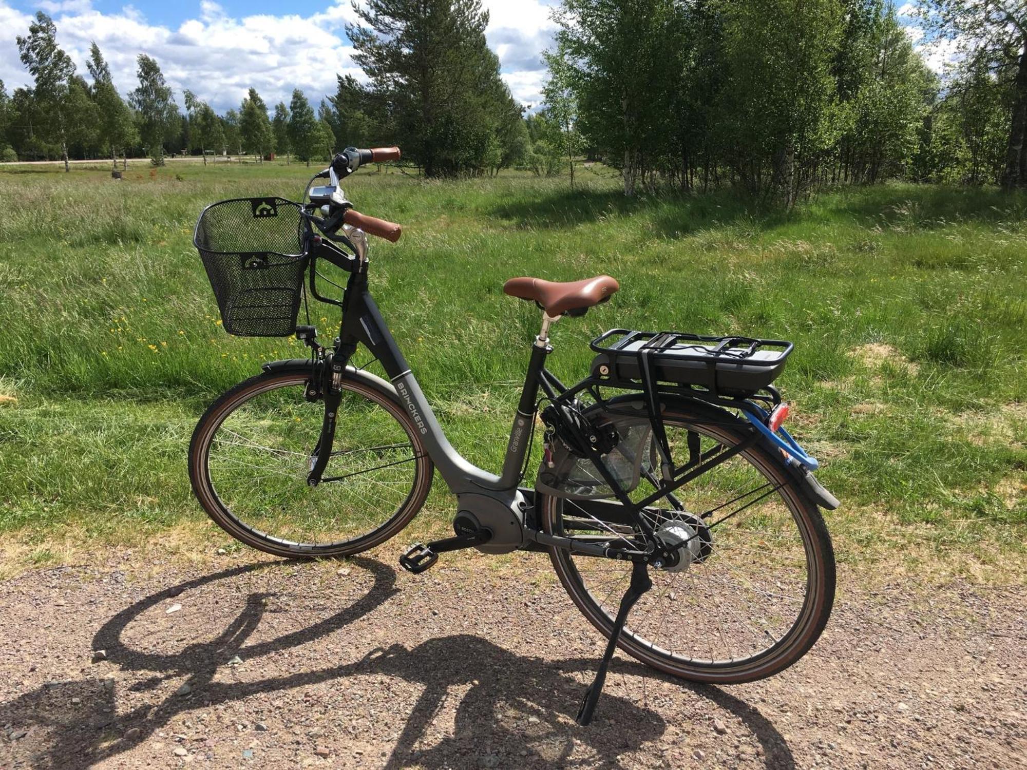 Knappgarden Särna Exteriér fotografie