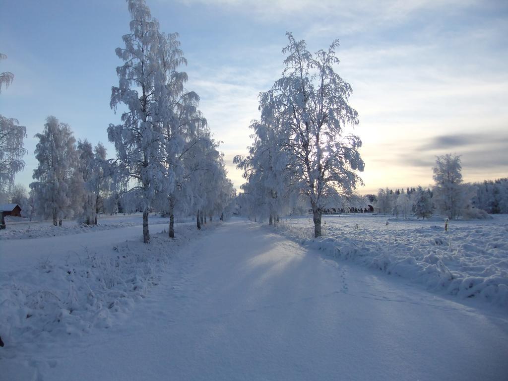 Knappgarden Särna Exteriér fotografie