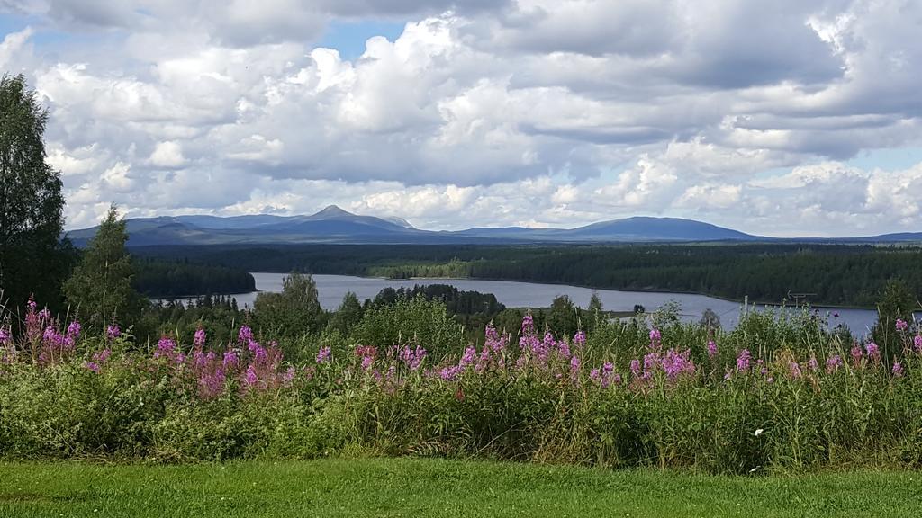 Knappgarden Särna Exteriér fotografie