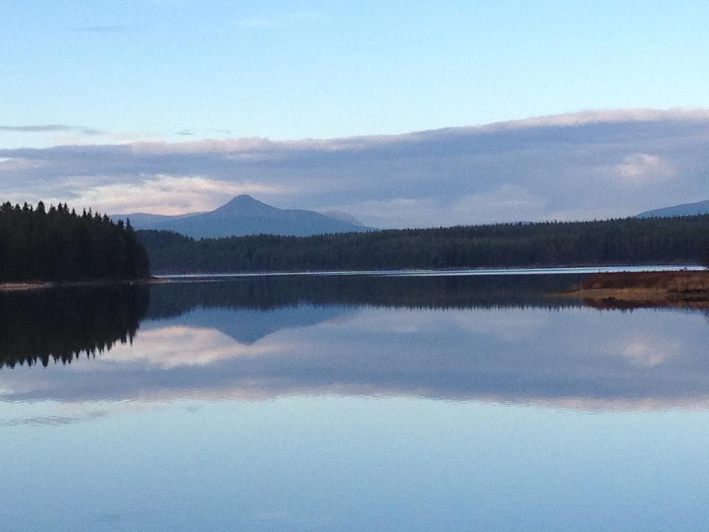 Knappgarden Särna Exteriér fotografie